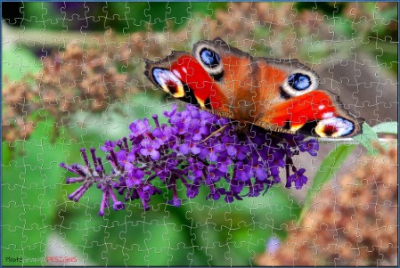 BUY NOW! A JEWEL OF NATURE - web-playable jigsaw