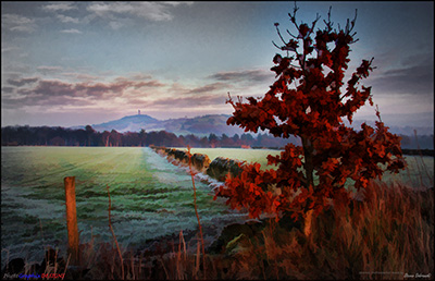 BUY NOW! FROM COPPER BEECH TO VICTORIA TOWER - FINE ART PRINT
