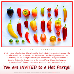 INVITATION e-Card - invitation to a party