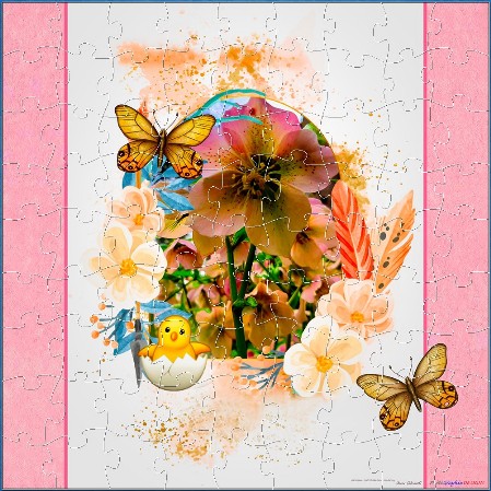 FREE WITH eCARDS - A CHRISTMAS ROSE IN CELEBRATION OF SPRING