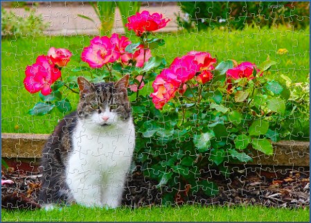 BUY NOW! PUSSY CAT AND ROSES TOO - web-playable jigsaw